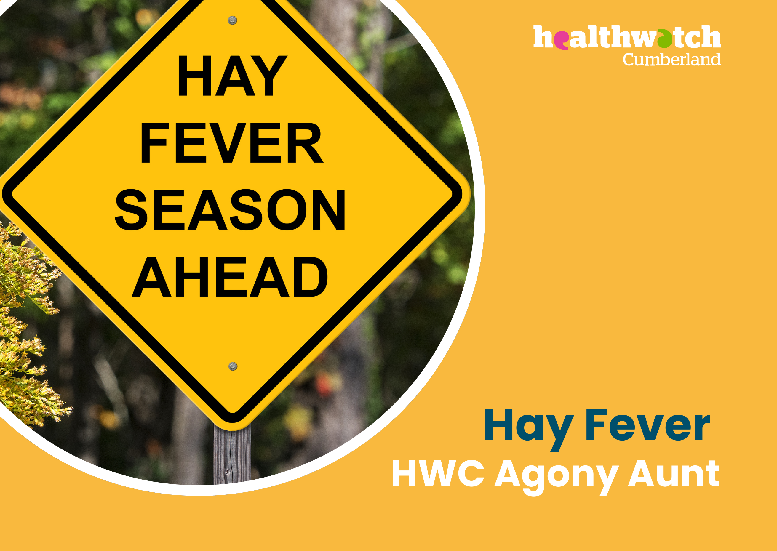 Hay fever tips