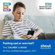New crisis text service in North East and North Cumbria
