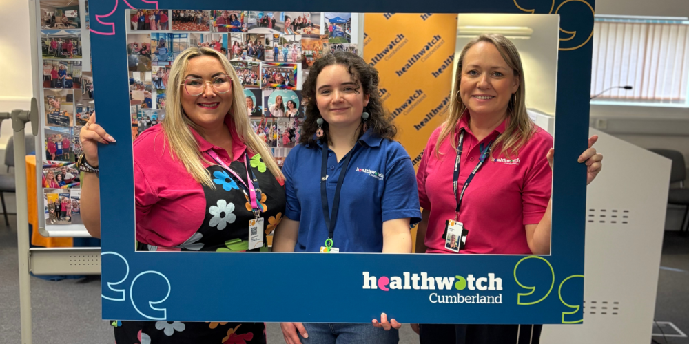 Website article picture size 2025 11 26 T111713 312