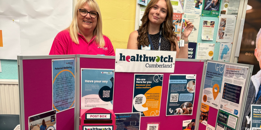 Website article picture size 2025 11 28 T120919 563